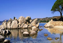 今晚巴黎圣日耳曼的比赛结果会如何？阵容、对手与关键因素全解析